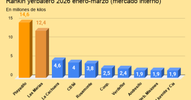 rankin yerbatero 2026 enero marzo (mercado interno)