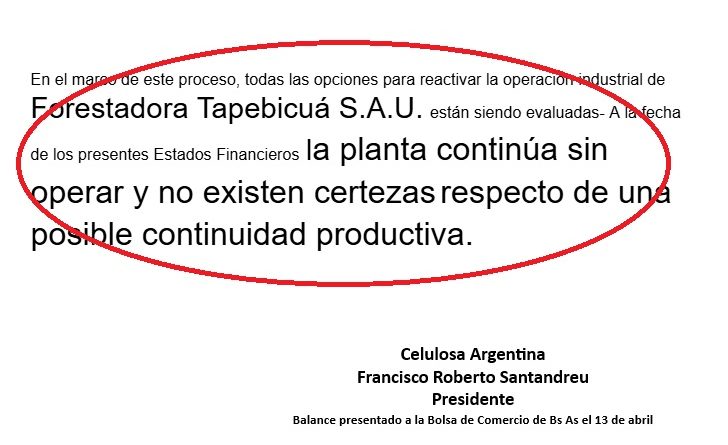 celulosa3