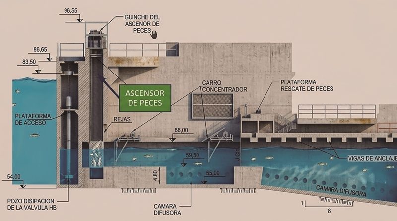 peces