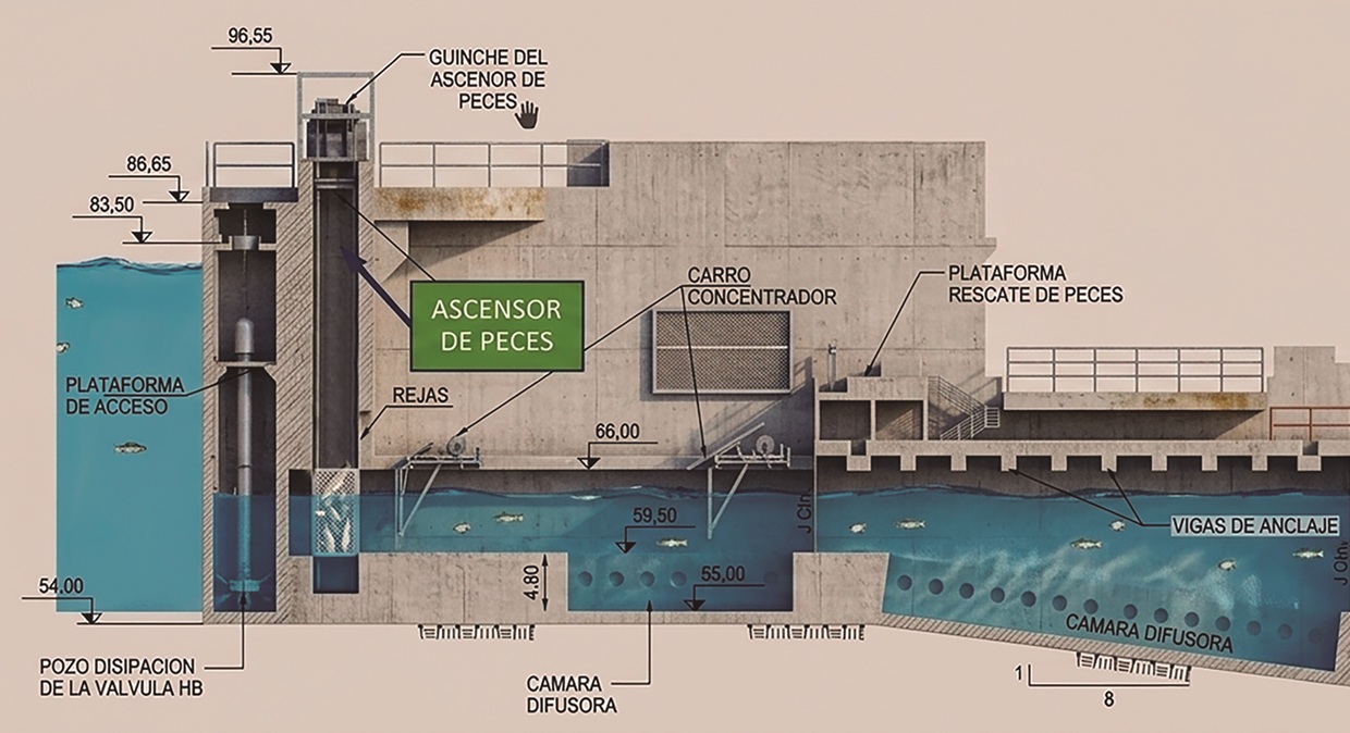 peces