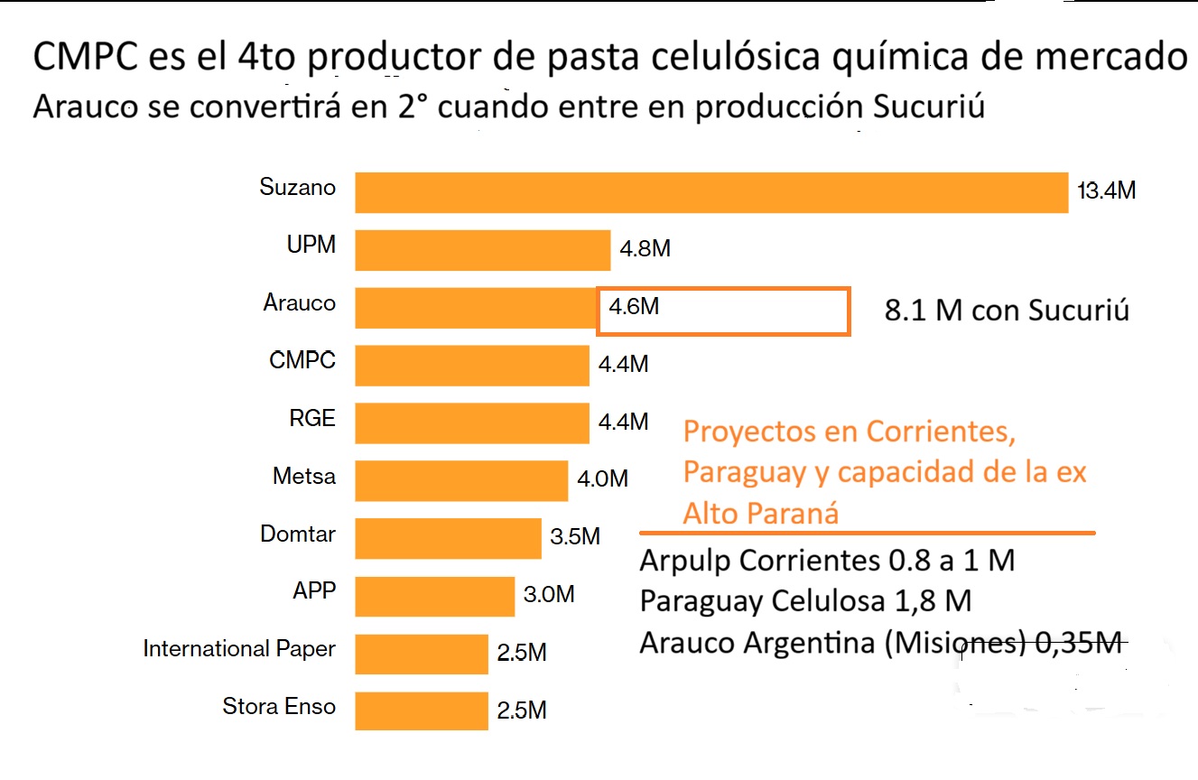 arauco3