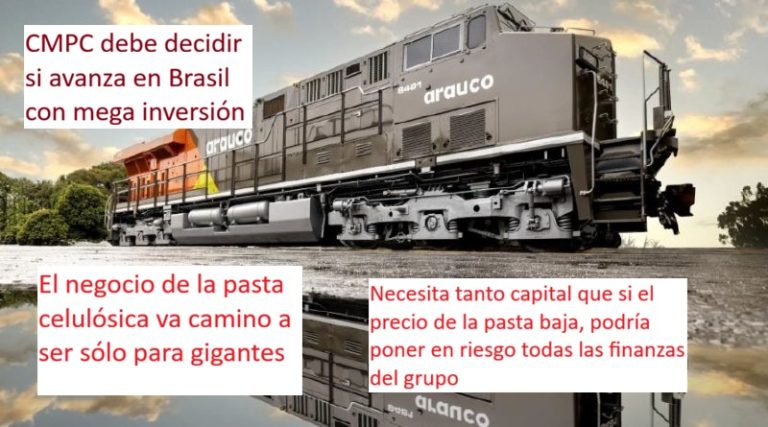 arauco3333