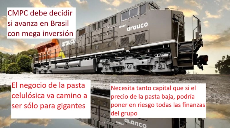 arauco3333