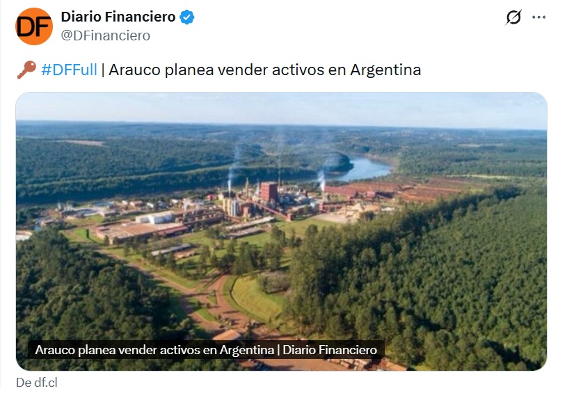 arauco33